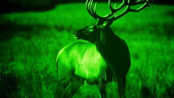 Night Vision Camera screenshot 4