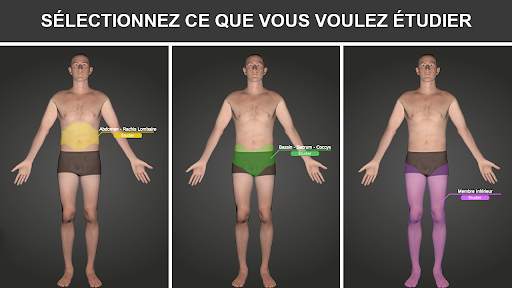 RX - Radiological Positions screenshot 2