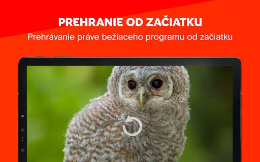 Skylink Live TV SK screenshot 8