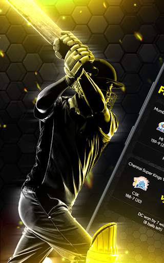 Cricket Match Scores screenshot 1