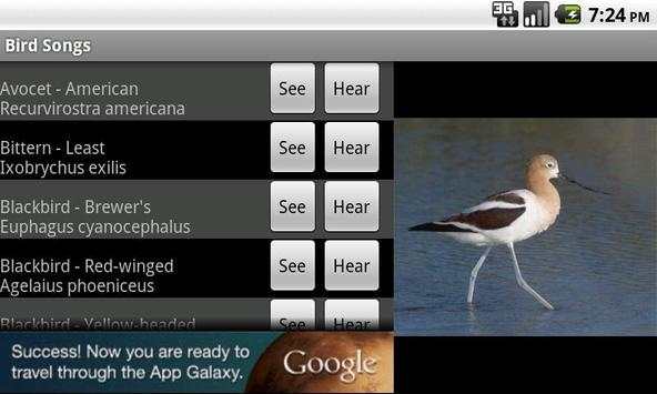 Bird Songs screenshot 2