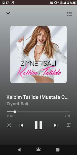 تحميل الموسيقى مجانا screenshot 3