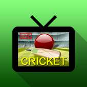 Cricket TV - Live Cricket Scores & News FREE logo