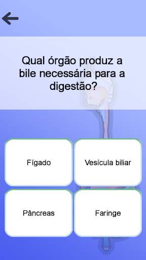 Anatomia screenshot 5