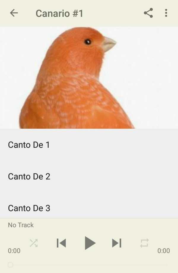Canto De Canario Timbrado 2 تصوير الشاشة