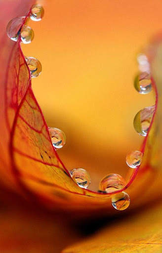 Drop Water Video Live Wallpaper screenshot 6