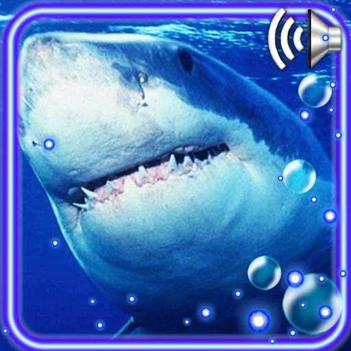 Shark Terrible Live Wallpaper 1.2