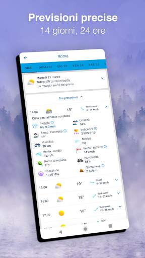 Meteo Previsioni - Meteored screenshot 2