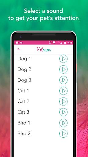 Petcam - Pet Camera screenshot 2