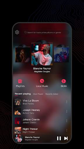 FiiO Music screenshot 1