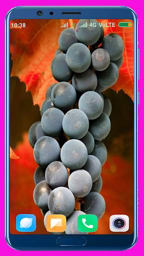 Grapes HD wallpaper screenshot 6