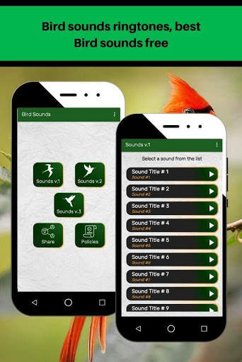 Bird sounds ringtones, best Bird sounds free screenshot 5