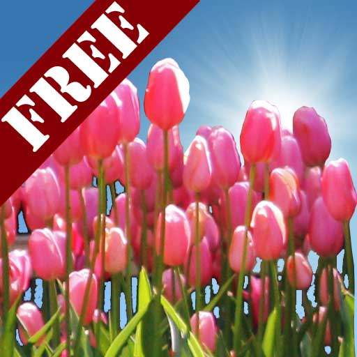 Tulip Field Free LWP 3.12