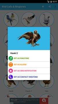 Bird Sounds & Ringtones screenshot 4