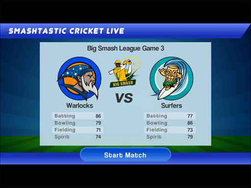 Smashtastic Cricket screenshot 15
