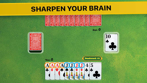 Gin Rummy * screenshot 2