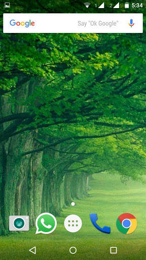 Green HD Wallpaper screenshot 1
