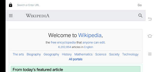 Browser-2020 screenshot 8