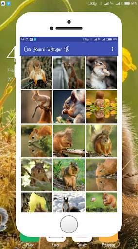 Squirrel Wallpaper screenshot 3