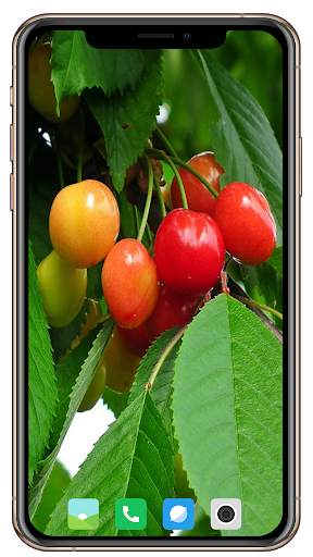 Fruit Trees Wallpaper HD screenshot 15