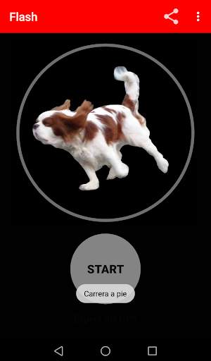 Flash screenshot 8