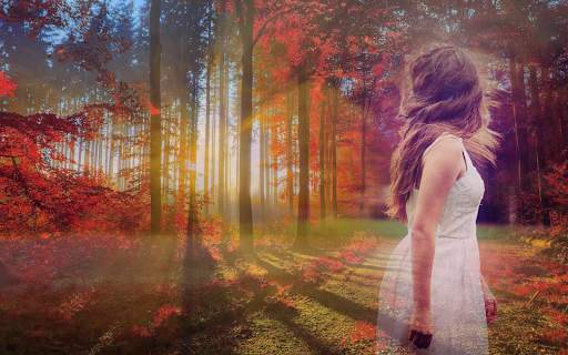 Nature Photo Editor screenshot 2
