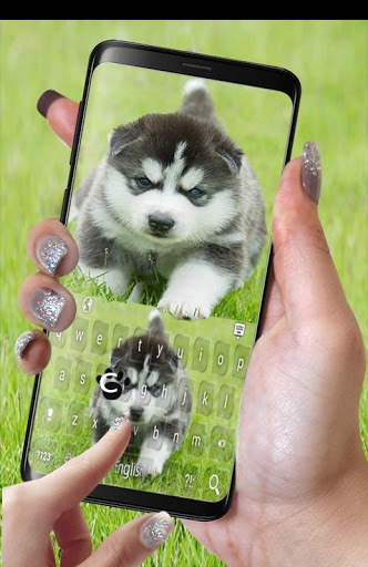 Siberian Husky Puppies Keyboard स्क्रीनशॉट 10