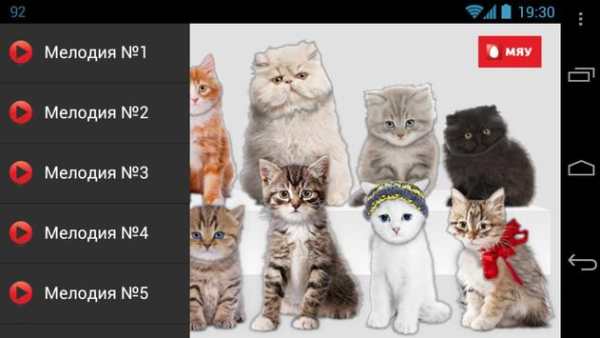 Meow Piano screenshot 2