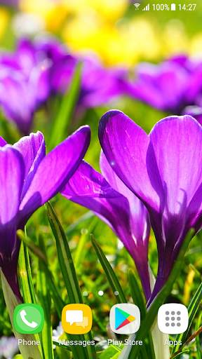 Beautiful Spring Flowers Live Wallpaper screenshot 3