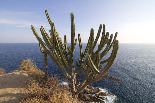 Mexico Wallpaper Travel screenshot 19