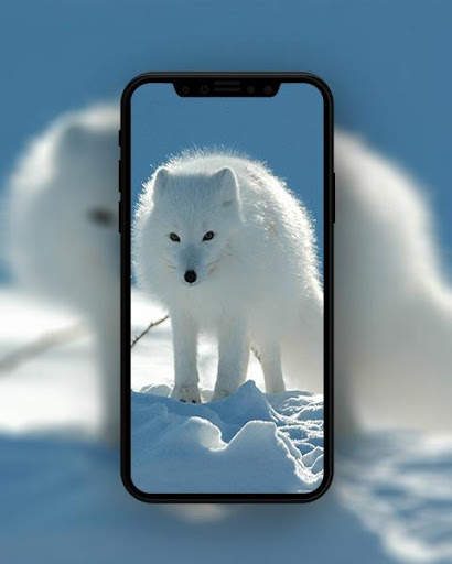 White Wallpapers HD screenshot 8