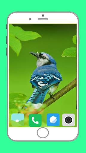 Birds Full HD Wallpaper स्क्रीनशॉट 15
