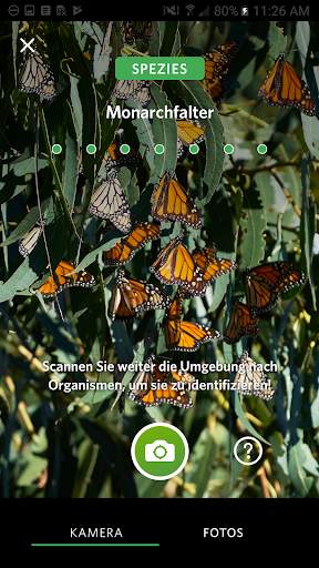 Seek von iNaturalist screenshot 1