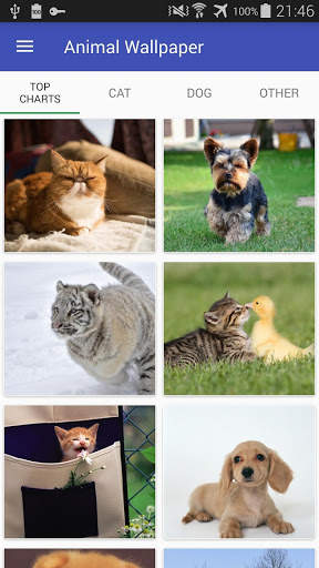 Animal Wallpaper screenshot 1