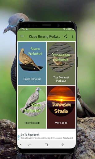 Kicau Burung Perkutut Offline screenshot 2