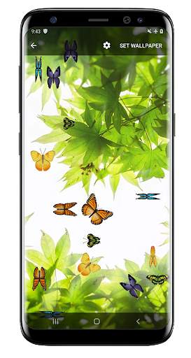 Butterfly and Blossom live wallpaper screenshot 1