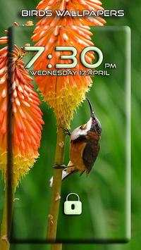 Bird wallpapers screenshot 6
