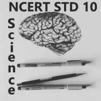 Standard 10 Science Diagram Stepwise on 9Apps