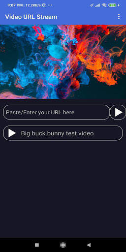 Video URL Stream screenshot 3