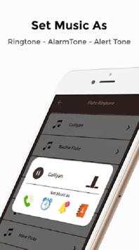 Flute Ringtones(Pashto Flute Ringtones) скриншот 4
