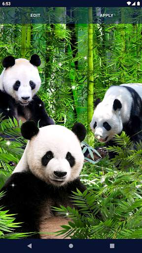 Panda Parallax Wallpapers screenshot 7
