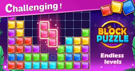 Block Puzzle screenshot 13