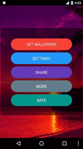 Sunset Live Wallpaper - Flying Bird LWP screenshot 1