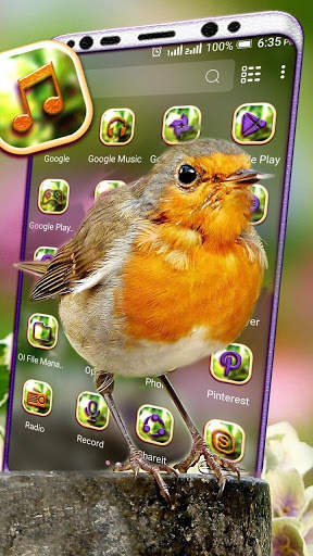 Bird Launcher Theme screenshot 2