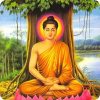 Buddha Wallpapers HD icon