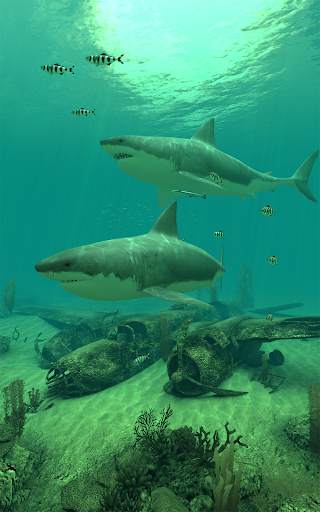 Sharks 3D - Live Wallpaper screenshot 7