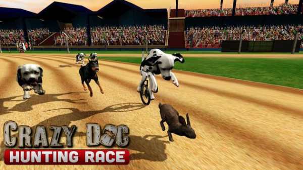Crazy Dogs Racing Bunny Hunter : Greyhound Dog Sim screenshot 5