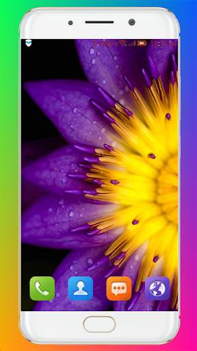 Purple Flower Wallpaper screenshot 8