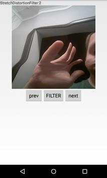 Camera Filters Demo screenshot 1