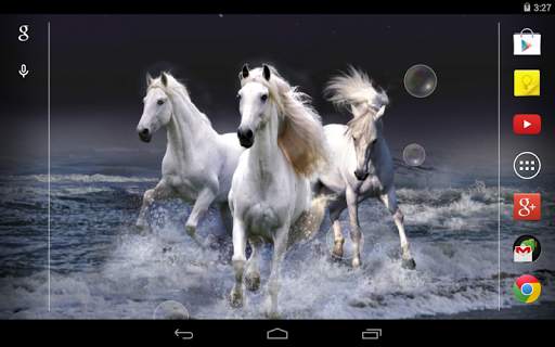 Horses Live Wallpaper screenshot 5